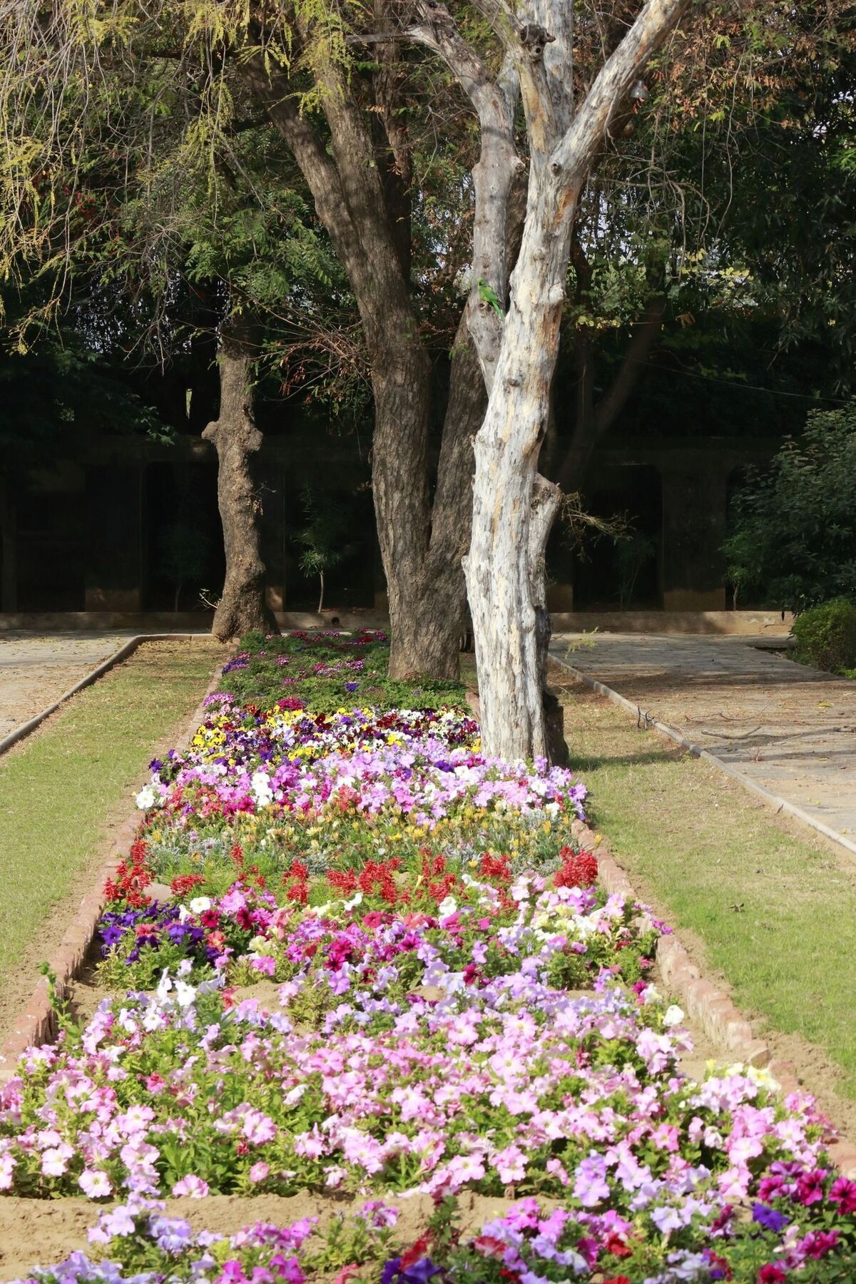 Samode Bagh Hotel Buitenkant foto